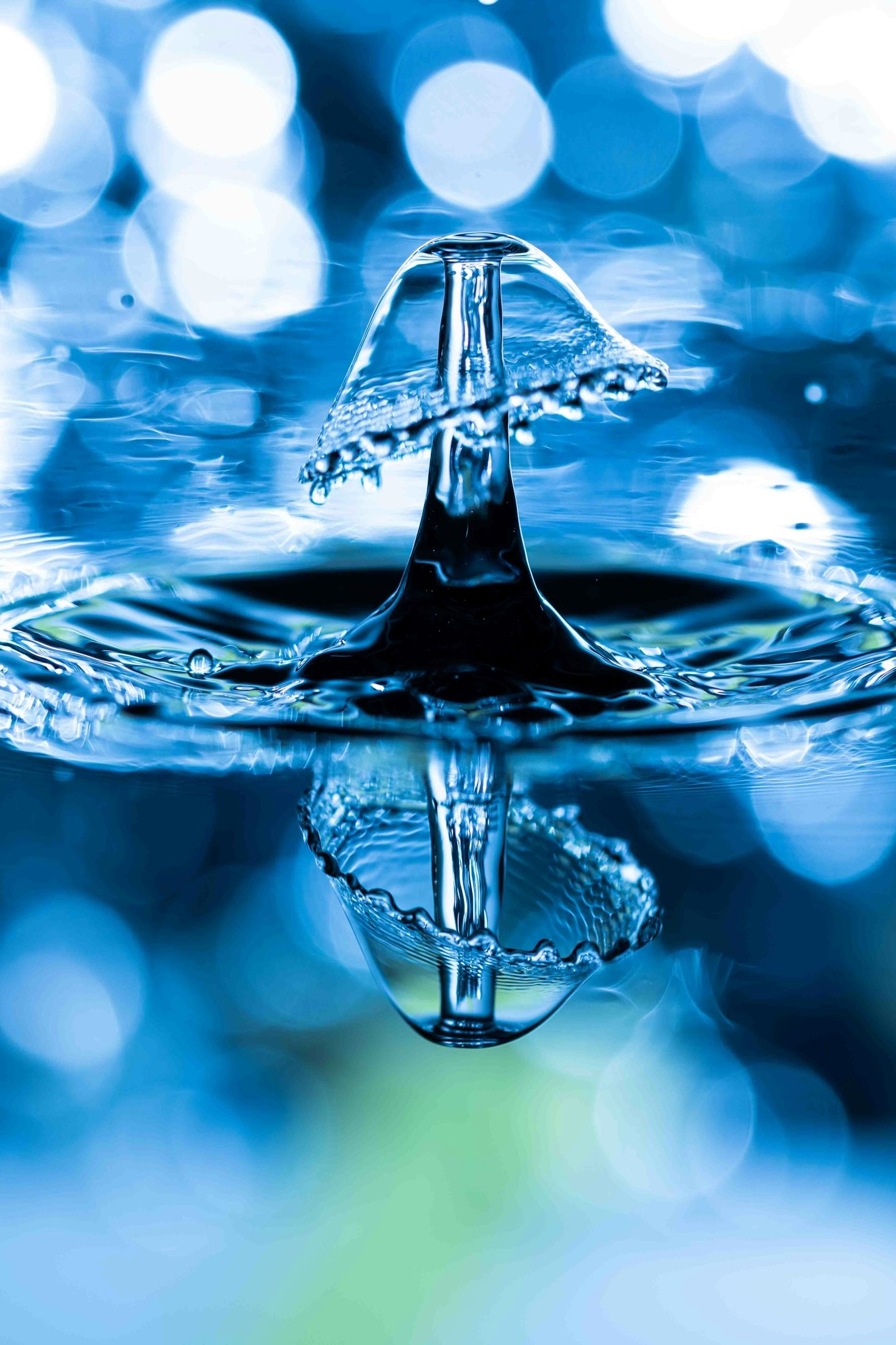 Why Legionella Risk Assessments Are Crucial for Your Business